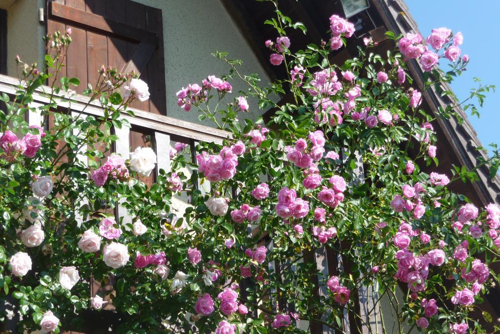 Maison D'Hotes Les Coquelicots Giverny Bilik gambar