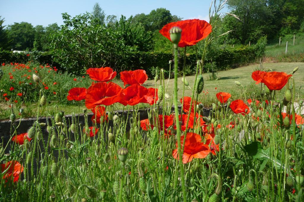 Maison D'Hotes Les Coquelicots Giverny Luaran gambar