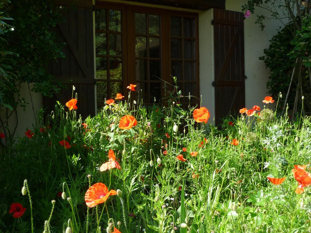 Maison D'Hotes Les Coquelicots Giverny Luaran gambar