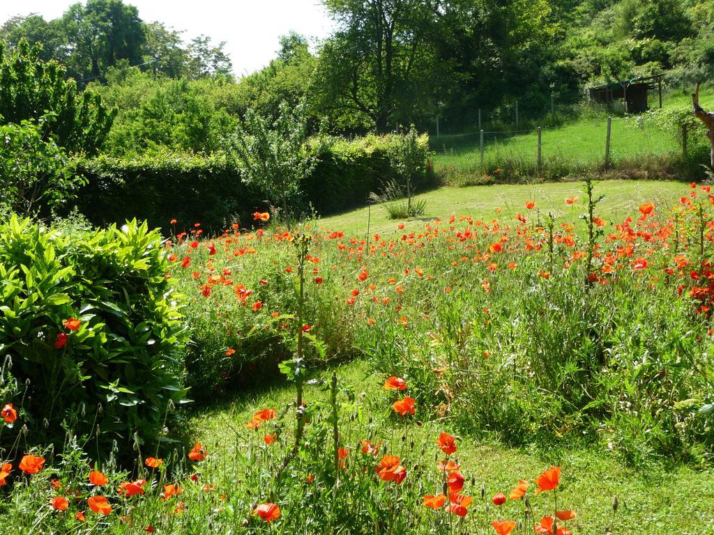 Maison D'Hotes Les Coquelicots Giverny Luaran gambar
