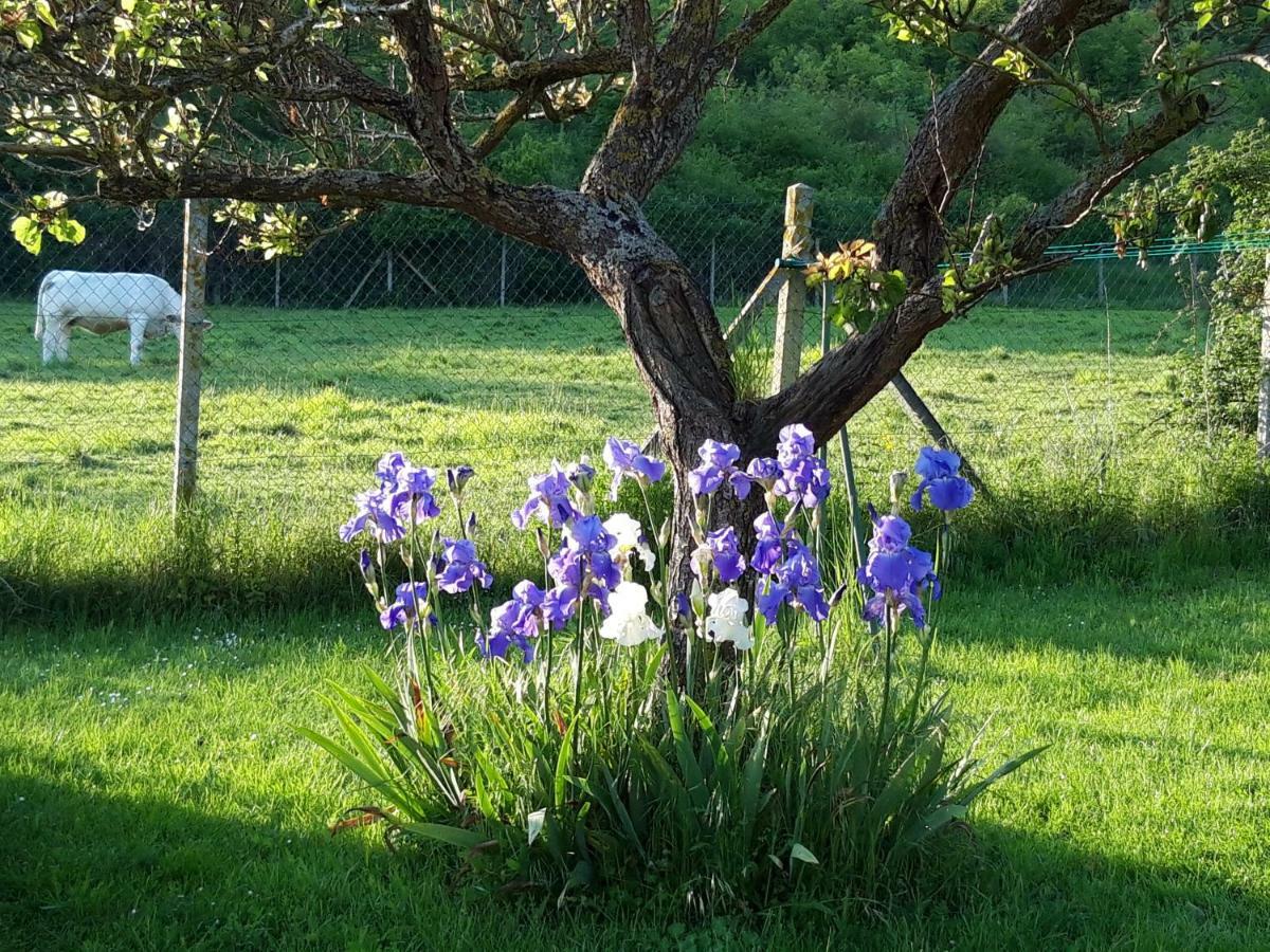 Maison D'Hotes Les Coquelicots Giverny Luaran gambar
